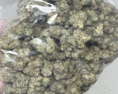 FROSTED DONKEY BUTTER (EXOTIC) - Image 2